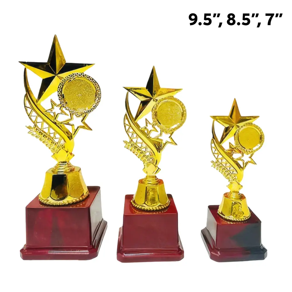 7 inch Shining Star Trophy